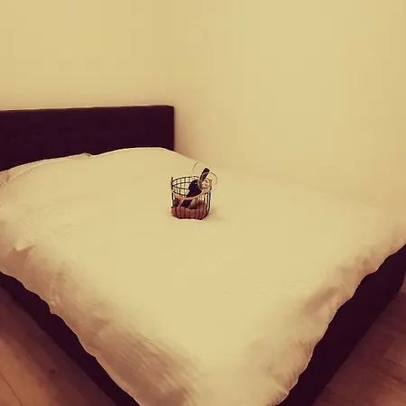 Coresi Studio M1 * Brasov